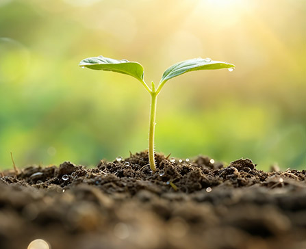 用穩(wěn)定的色母 助力穩(wěn)定的生產(chǎn)